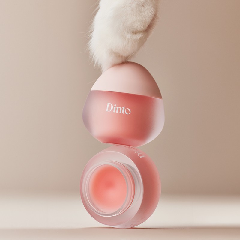 Dinto Popo Lip Mask Set of 5