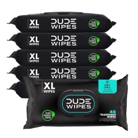 Wipes - Flushable Wipes - 6 Pack, 288 Wipes - Mint Chill Extra-Large Adult We...