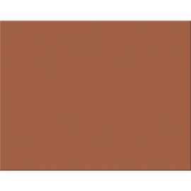 Pacon® PAC54691 4-Ply Railroad Board, Brown, 22" x 28", 25 Sheets