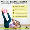 (Black) - Mini Exercise Ball with Pump - 23cm Bender