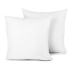 TOPGREEN Feather Throw Pillow Inserts 2 Pack | 20 x