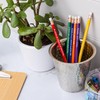 Medical ID Me Set of 6 Colourful Teacher Pencils, Teaching
