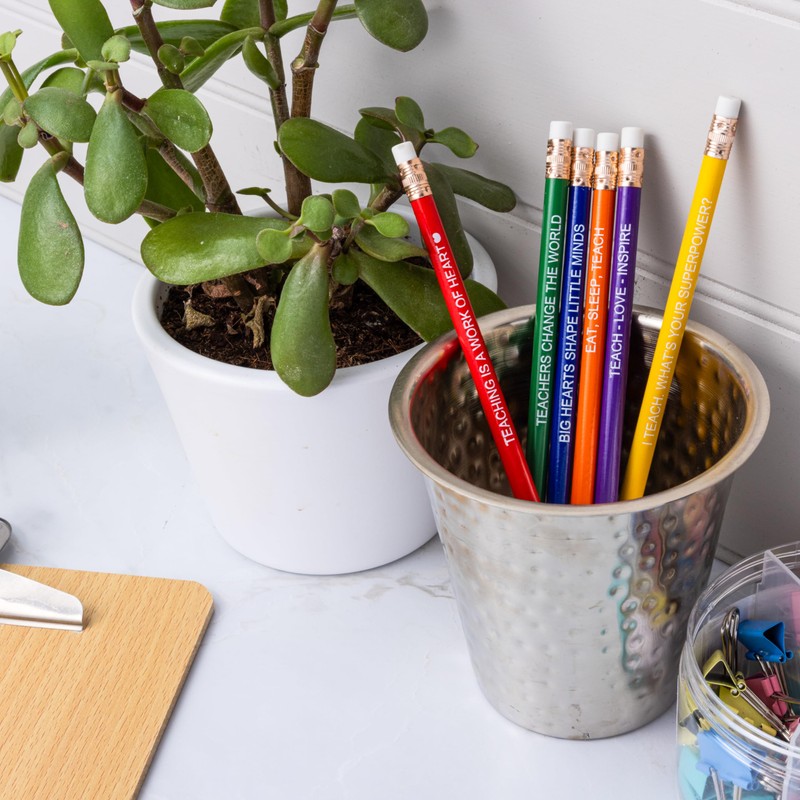 Medical ID Me Set of 6 Colourful Teacher Pencils, Teaching