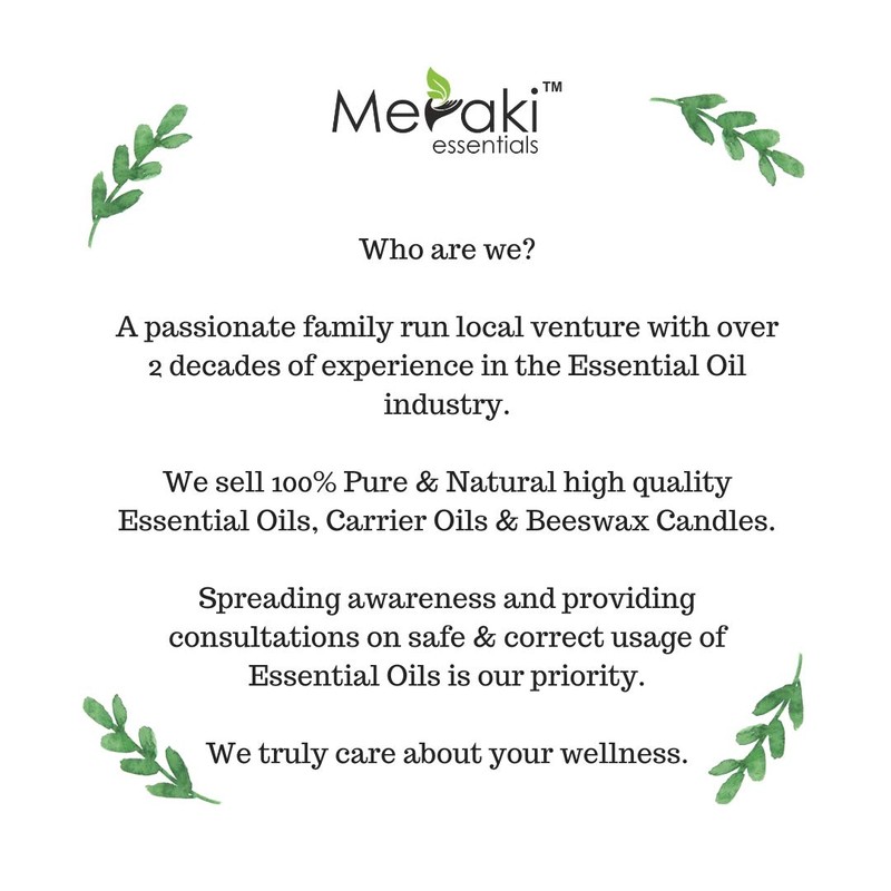 Meraki Essentials 100% Pure & |Natural|Patchouli Essential Oil 10 ml|Great