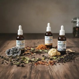 Kit 4 Extractos - Hericium, Reishi, Cordyceps Y Turkey Tail                                                                                           