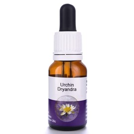 Living Essences Urchin Dryandra Flower Essence 100 ml
