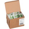 Steep Café Mint Herbal Tea, 50 Bags per Box, Single