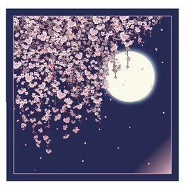 Shinpei Rear 遊布 Cotton 100 Cotton Large hurosiki Shinpei Approximately/118 cm hurosiki 有職 Large Shinpei -