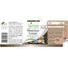 Fairvital Pleurotus Extract 500 mg - High Dose - Pleurotus