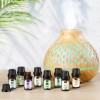 Hanolly Kit De Aceites Esenciales Para Aromaterapia 26 X 6