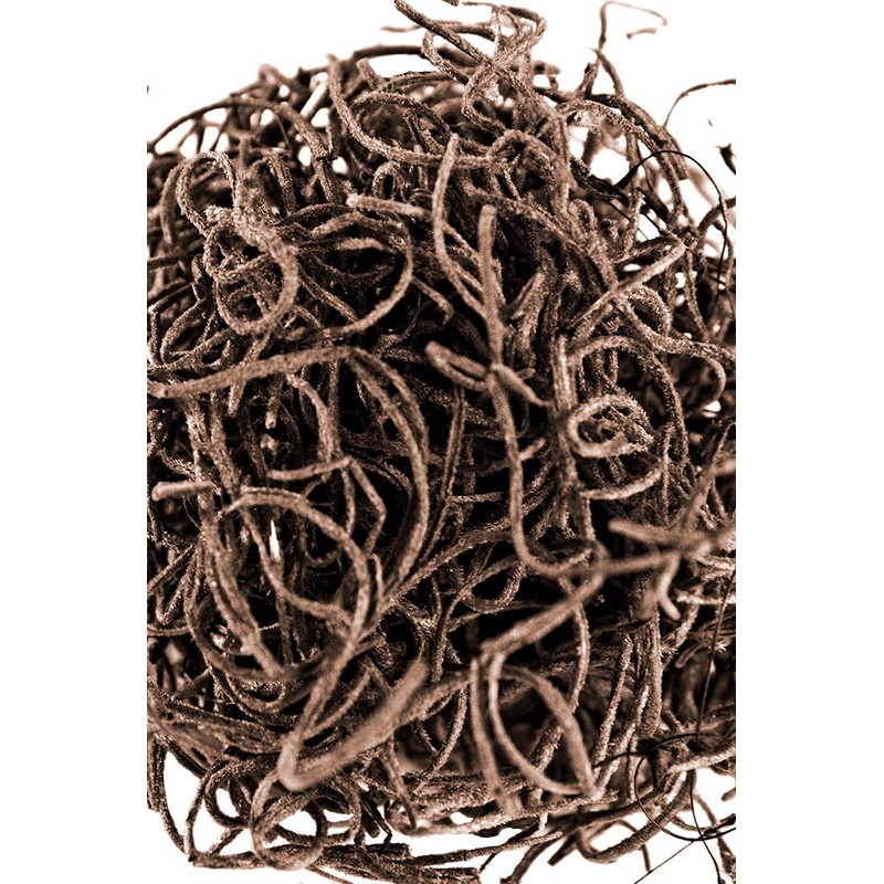 SuperMoss (26972) Spanish Moss Preserved, Coffee, 8oz (200 cubic inch)