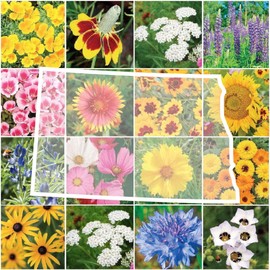 Eden Brothers North Dakota Wildflower Mixed Seeds for Planting, 1 oz, 30,000+ Seeds with Calendula, Sunflower | Attracts Pollinators, Plant in Spring or Fall, Zones