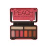 BYS On-The-Go Peach Eyeshadow Palette with Primer Highlighter and Mirror,
