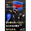 Nicheez Hand Mitts Karate Punch Kick Mitts Taekwondo Karate with