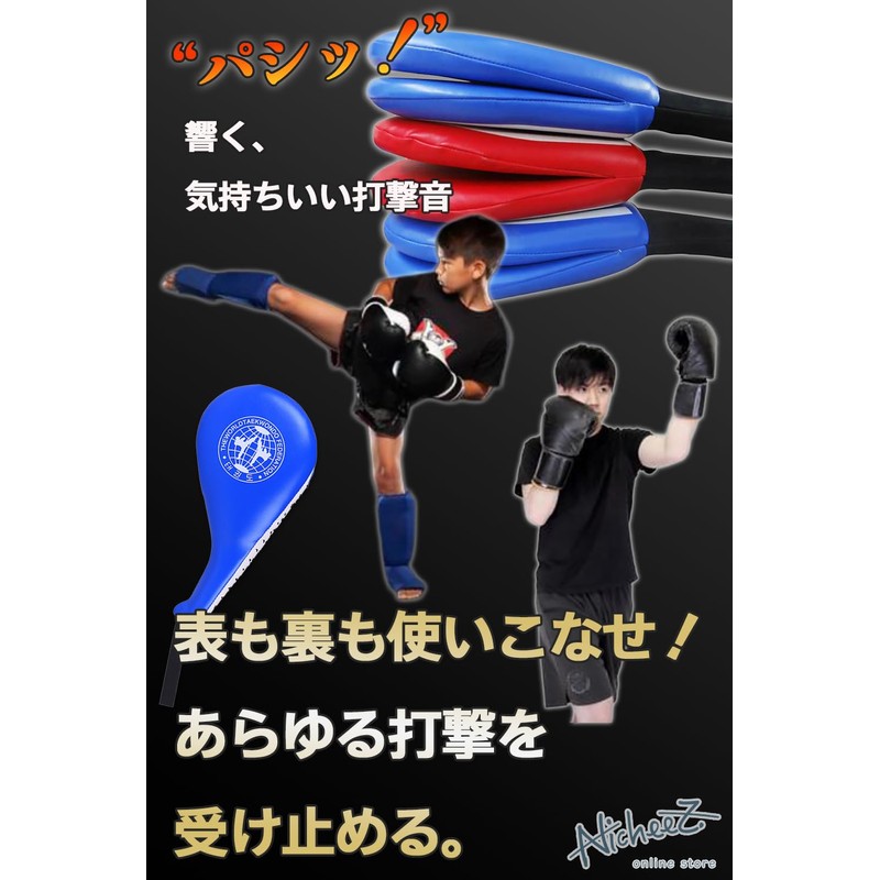 Nicheez Hand Mitts Karate Punch Kick Mitts Taekwondo Karate with