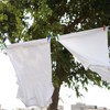 Clothes Pegs for Washing Line Laundry Pegs with Firm Grip