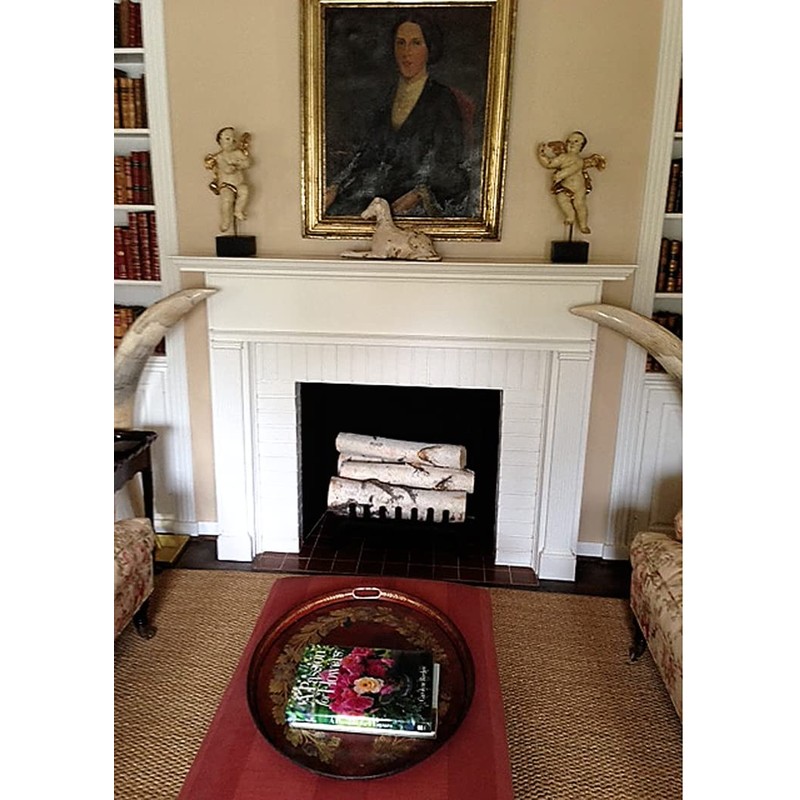 Wilson Birch Fireplace Large Log Set (5 Logs: 3''-5'' Dia.