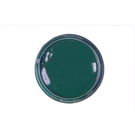 Kaps Shoe Care Cream, Intensive Leather Care and Nourishing, Delicate (133 - dark green)