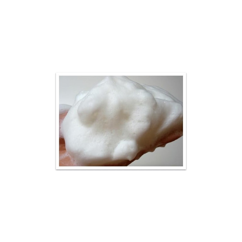 Green Tea Soap, 3.5 oz (100 g), Includes a Frothing