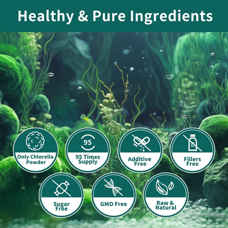 Chlorella Powder Natural- Chlorophyll Powder, Supports Immune System & Liver