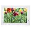 10 Inch Digital Photo Frame 1024x800 Human Body Induction MP3