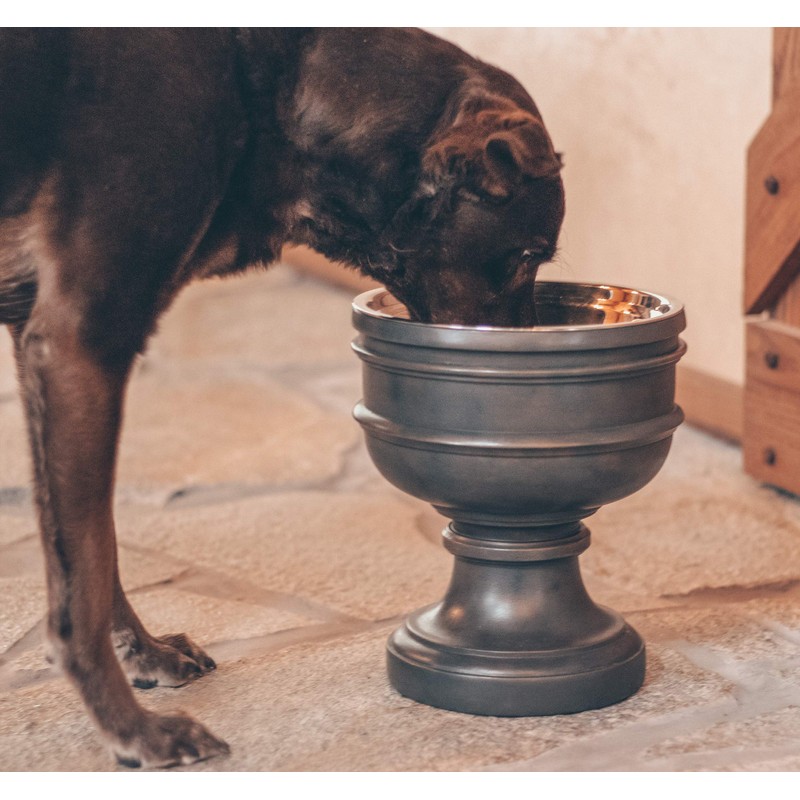 Pet Junkie Summit Single Elevated Dog Bowl Stand with Removable