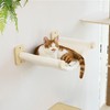 FUKUMARU Cat Wall Hammock with Two Steps Set, Modern Cat