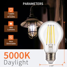 ALAMPEVER 800LM Dusk to Dawn LED Outdoor Light Bulb, 4-Pack A19 LED Bulb 60W Equivalent, E26 Base, 5000K Daylight White, 7W Automatic Light Bulbs for Porch, Patio, Garage, Non-Dimmable