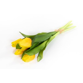 Seidenblumen Roß Natural Real Touch Tulip Bunch 32 x 20 cm with 5 Flowers DP Artificial Flowers Tulips Latex (White)