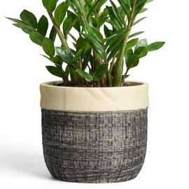 9.8 Inch Planter, Ceramic Planter, Round Pot for Plants, Light Black
