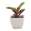6PCS Potted Artificial Succulents Artificial Plants in Pots Plastic Fake