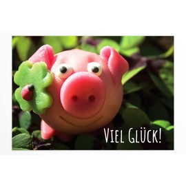 Friendly Fox Good Luck Card, 1 x DIN A6 Folding Card with Envelope, Courage Card for Graduation Exam, Card with Envelope, Lucky Pig