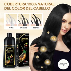 Shampoo Tinte Cubre Canas Contiene Extracto De Ginseng 500ml