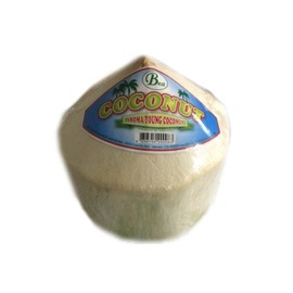 Fresh Young Coconut (Aroma Young Coconut) - Pack of 6