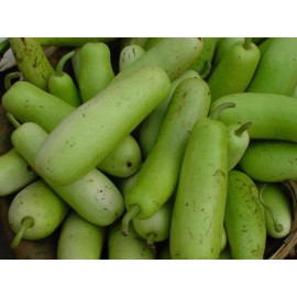 Mai's Family Long Bottle Gourd Seeds | Calabash Gourd,  F1 | NON-GMO - 50+