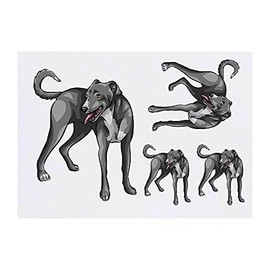 4 x 'Lurcher' Temporary Tattoos - Water Resistant, Skin-Safe, Non-Toxic Transfers, Mixed Sizes (TO00044657)