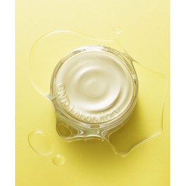 CNP [Cha & Park] Propolis Ampoule in Cover Cushion