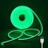 Wisada 5V LED Neon Light with Push Button On/Off [4m,