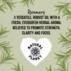Natural Planet Spanish Rosemary Essential Oil 15ML Natural Pure &