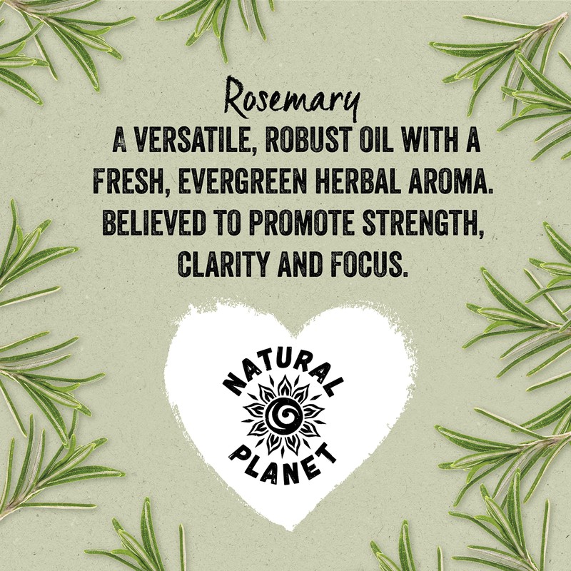 Natural Planet Spanish Rosemary Essential Oil 15ML Natural Pure &