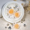 1 Box Champagne Rose Nail Art Charms Valentine's Day Resin