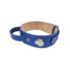 MD Gear Cane Corso Silver Heavy Duty 2.5 inch Wide