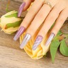 TOMICCA Gel Nail Color, 6 Color Set, 0.3 fl oz