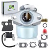 partszen 790120 Carburetor for 694202 693909 692648 499617 with 695711