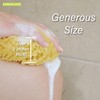PARADISO Evriholder Sea Foam Body Sponge for Scrubbing and Exfoliating,