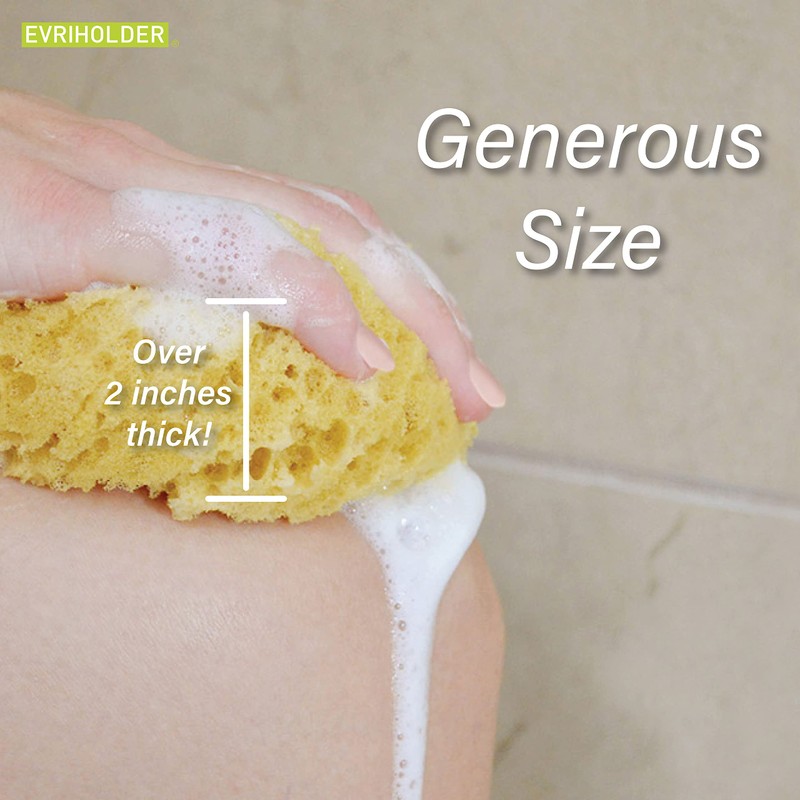 PARADISO Evriholder Sea Foam Body Sponge for Scrubbing and Exfoliating,