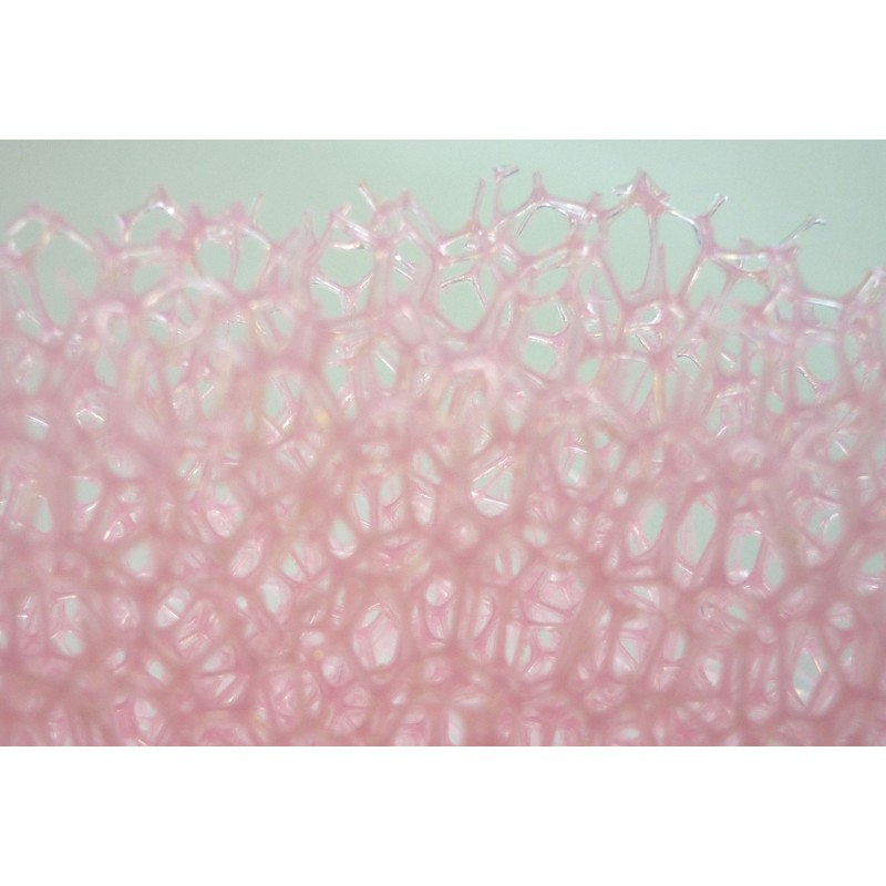 マーナ (marna) スポンジ 石鹸置き (ブルー) 洗面台 トレー付き ソープディッシュ (石鹸 ホルダー