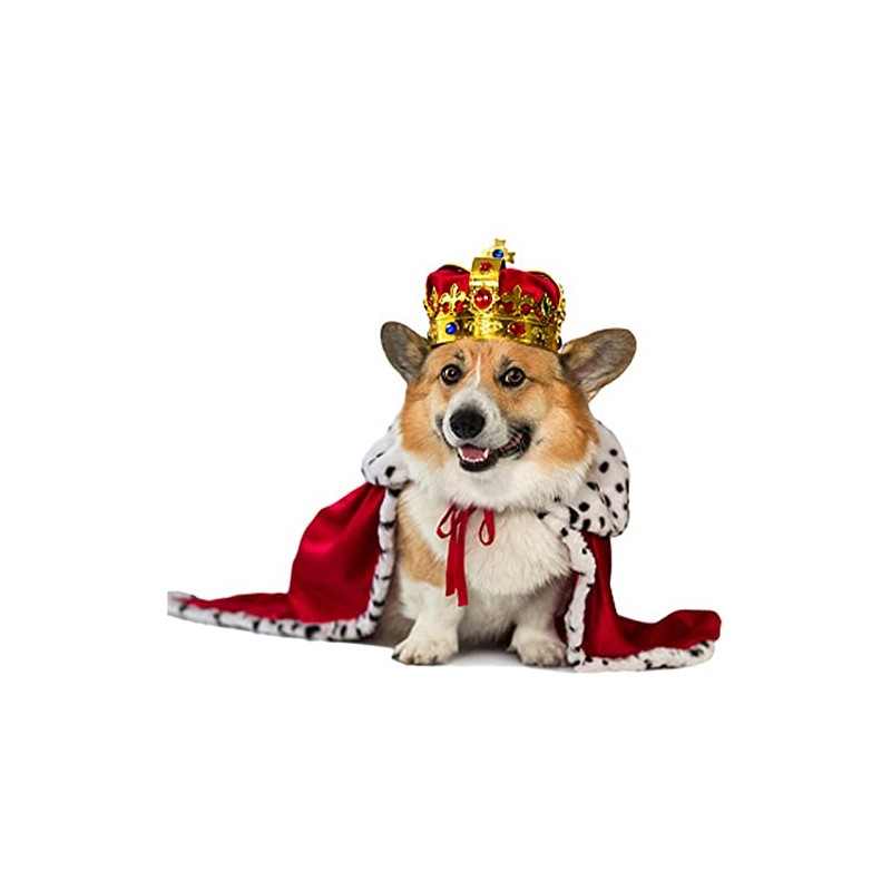 Corgi Dog Queen Elizabeth II Square Fridge Magnet Fantastic Souvenir,