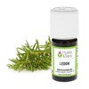 Ledum Essential Oil (Organic)