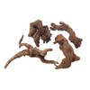 4 Pack of Natural Driftwood Aquarium sinkueiburu Driftwood Aquarium Decor